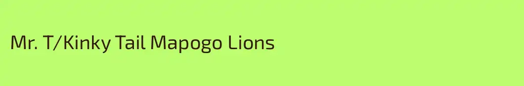 Mr. T/Kinky Tail Mapogo Lions